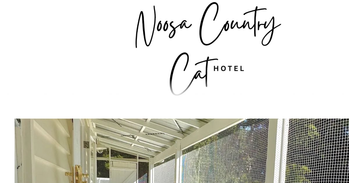 Noosa Country Cat Hotel website homepage, noosacountrycathotel.com.au